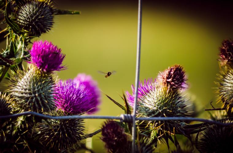 kristof-zerbe-lz4jsPjzByA-unsplash