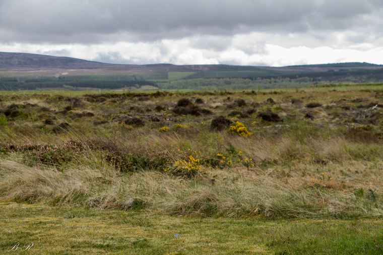 Culloden Batterfield