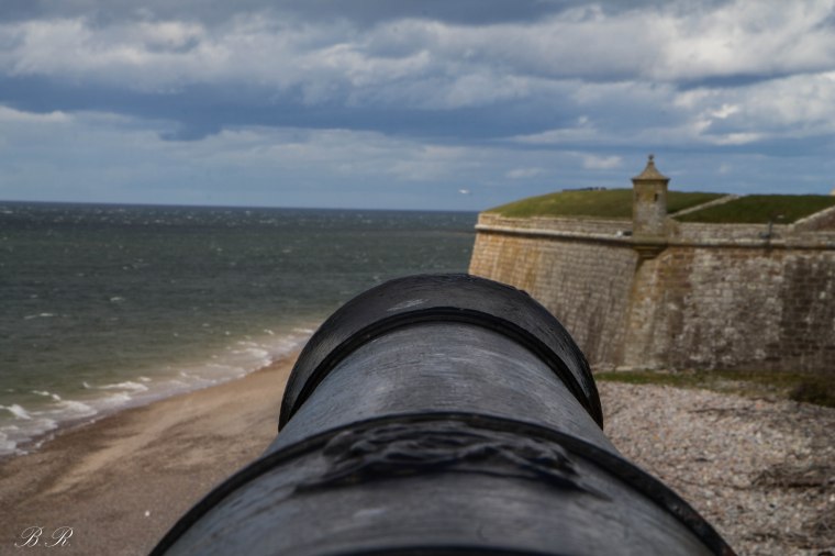 Fort George
