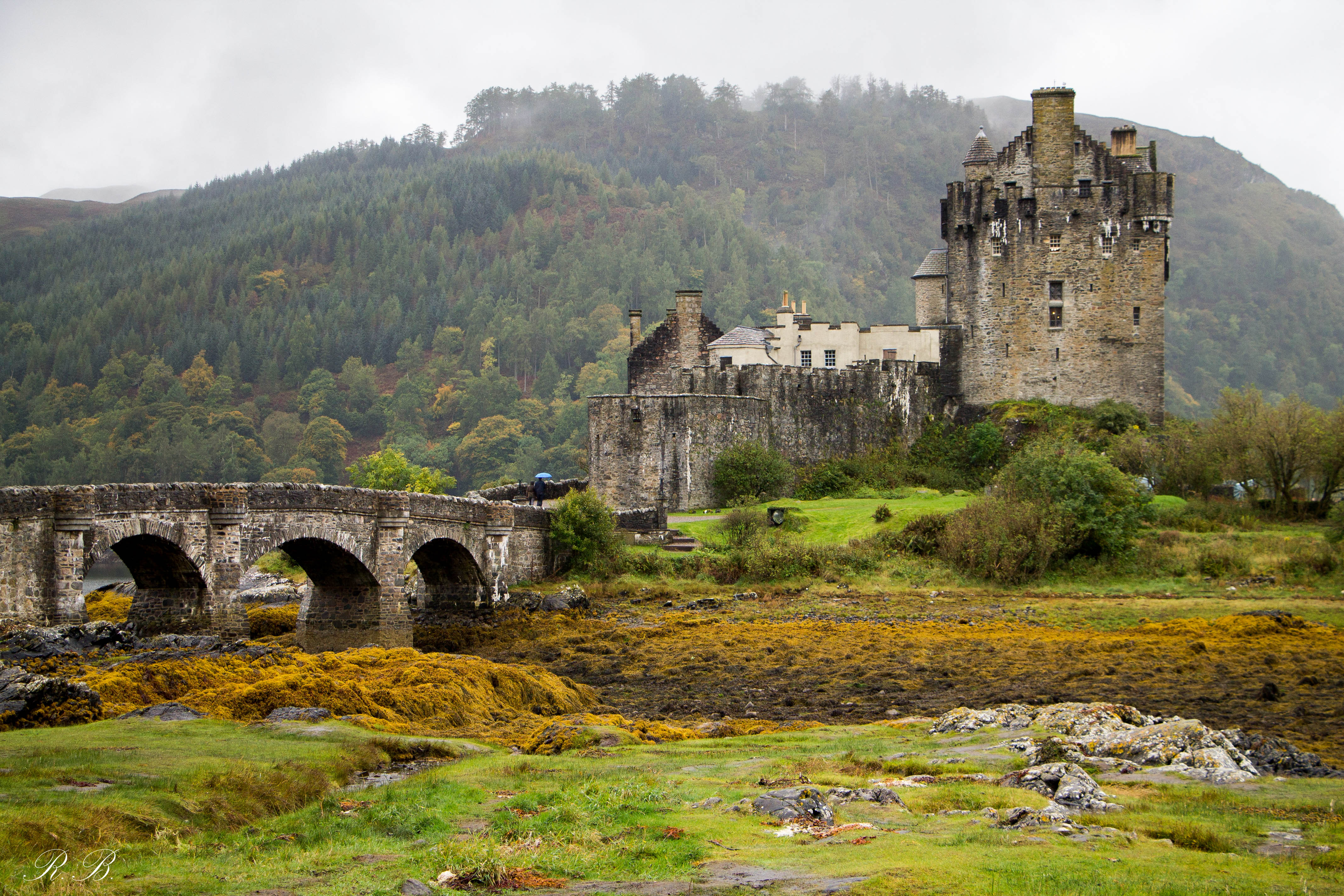 Eilean Donan Castle Scozia Beatrice Roat