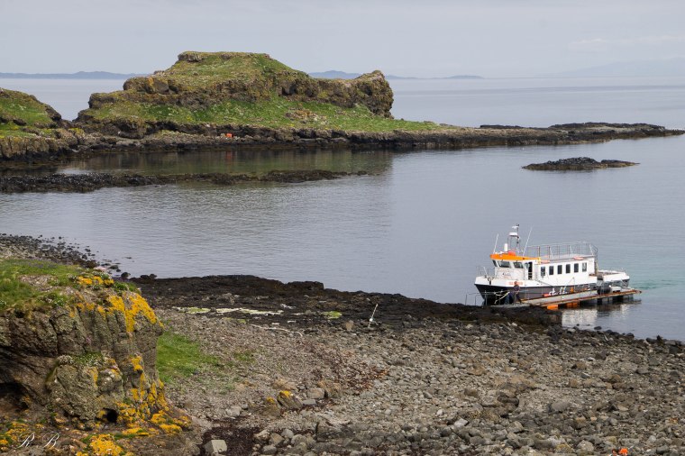 treshnish isles lunga