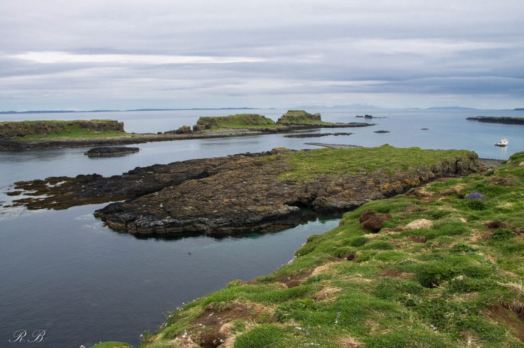 treshnish isles lunga