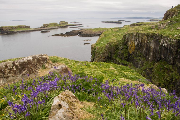 treshnish isles lunga