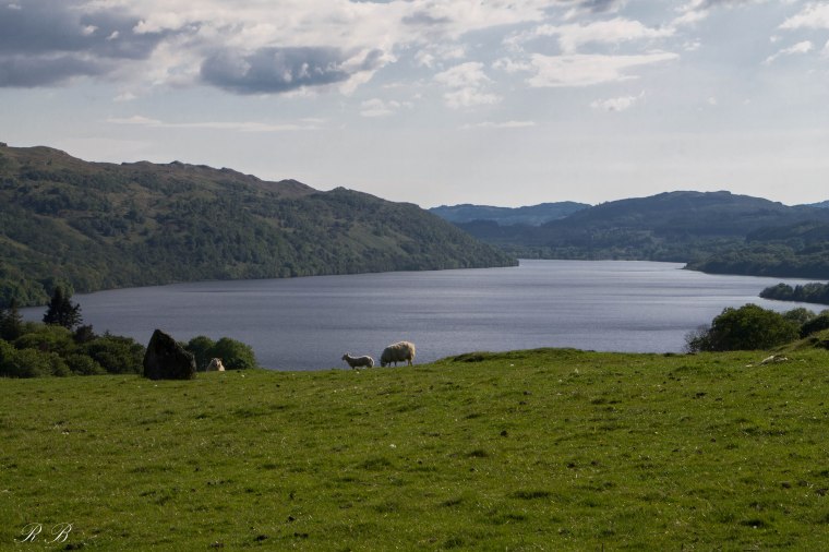 Ecco la veduta che cercavo!