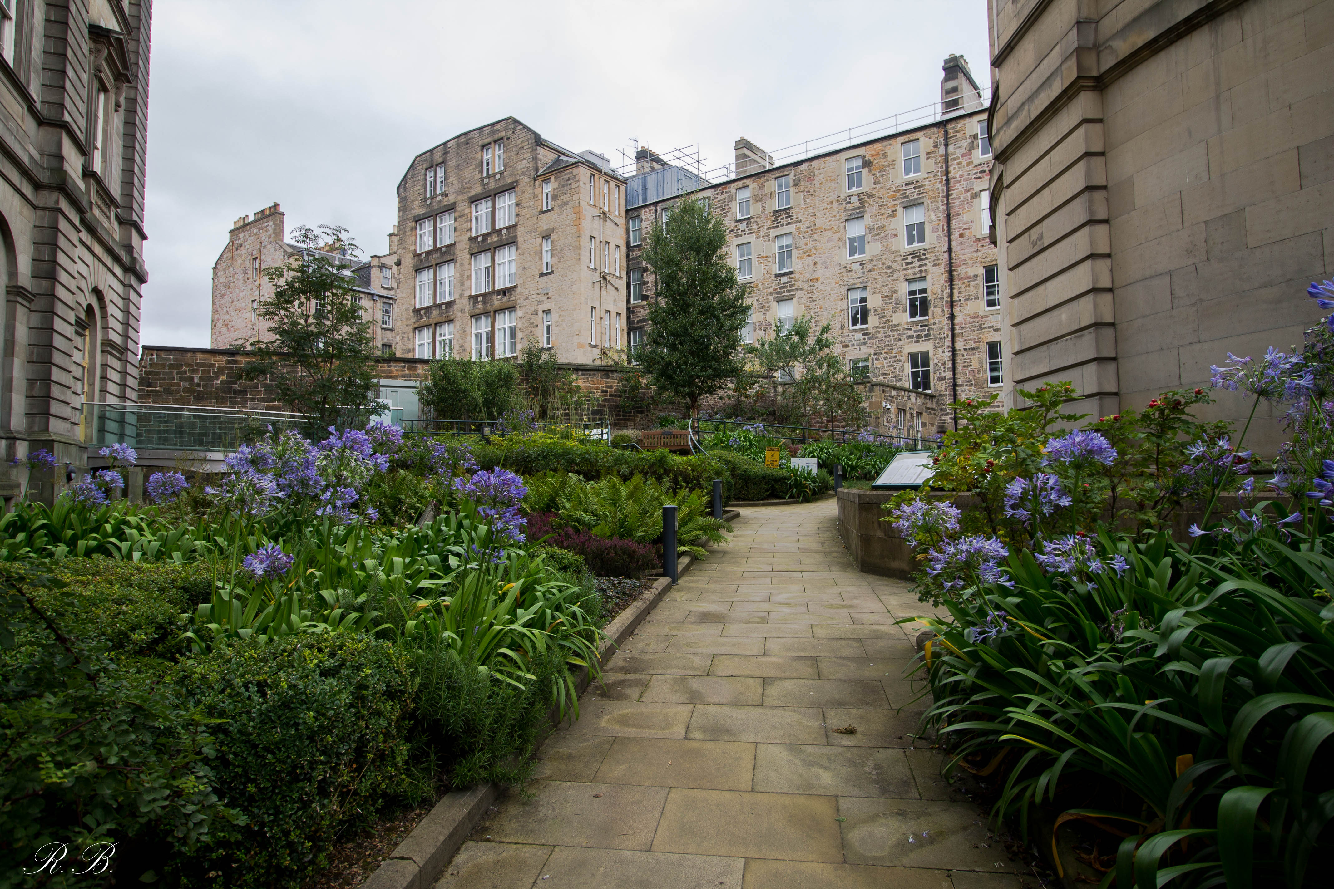 Archivist_Gardens_Edinburgh_BeatriceRoat