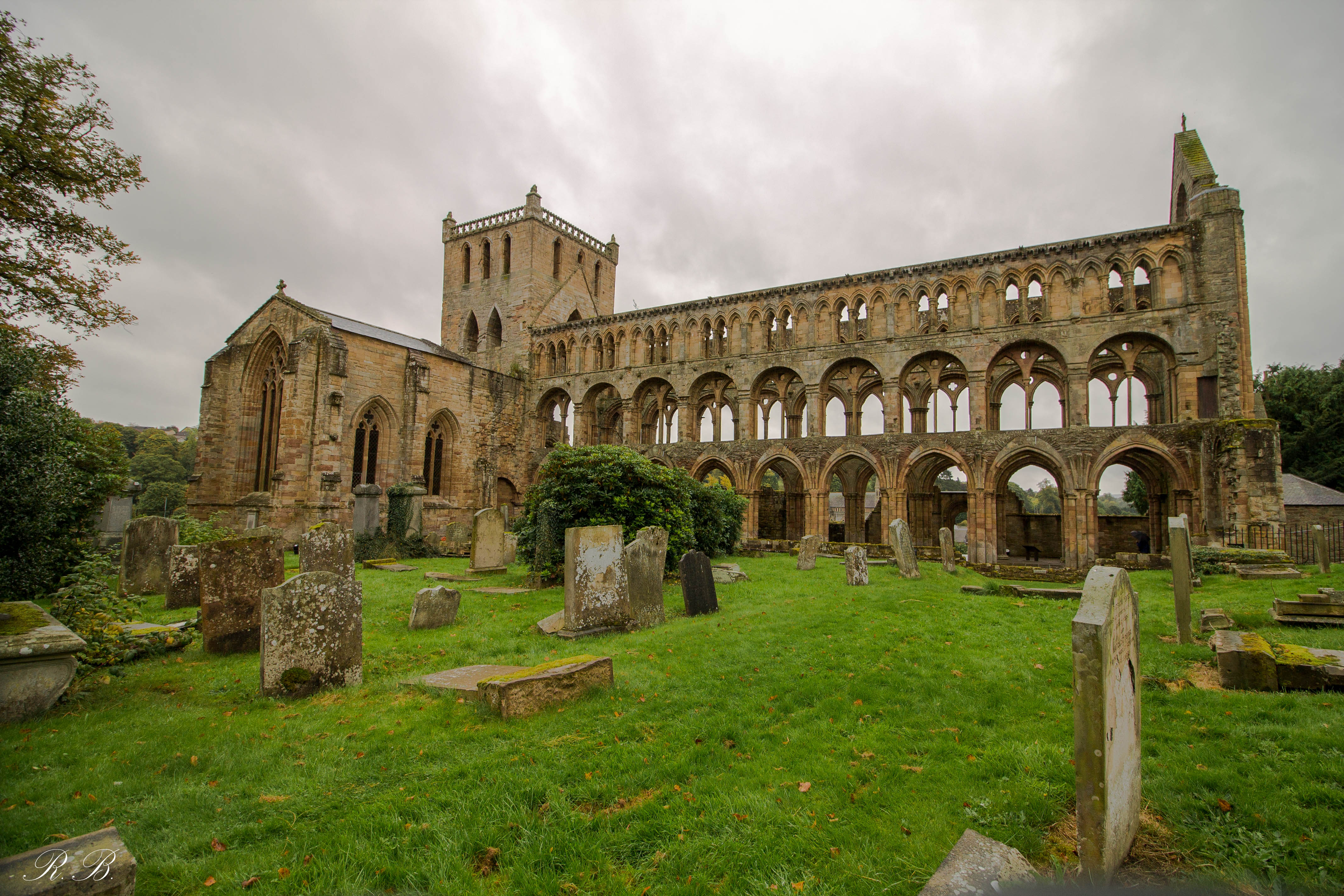 Jedburgh_Abbey_BeatriceRoat