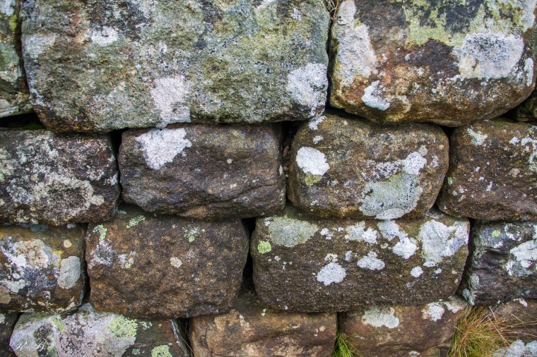 hadrian's_wall_BeatriceRoat