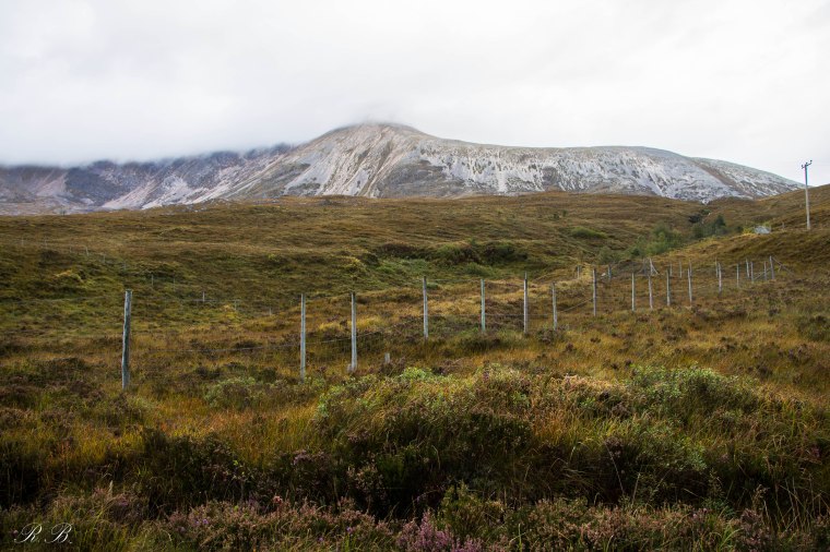 Ben_Eighe_Natural_Reserve_BeatriceRoat