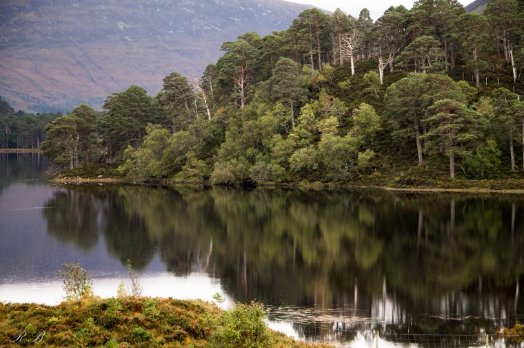 Ben_Eighe_Natural_Reserve_BeatriceRoat