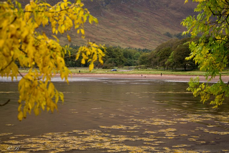 Applecross_Bay_BeatriceRoat