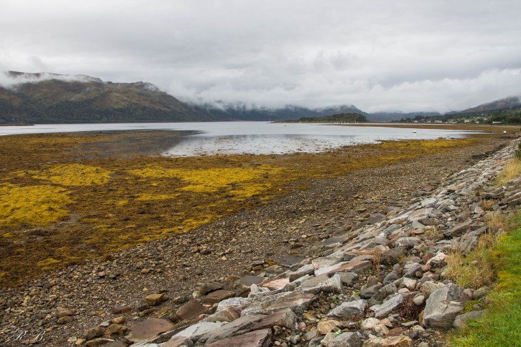 Locharron_Beatrice_Roat