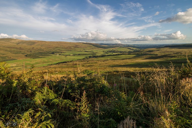 Moffat_Hills_BeatriceRoat