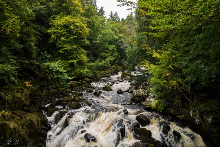 Dunkeld-TheHermitage-Scozia-Nelcuoredellascozia-BeatriceRoat