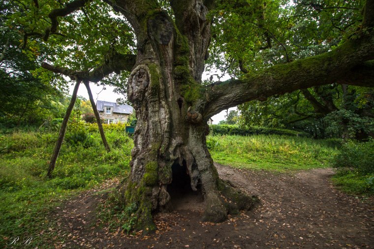 Dunkeld-Scozia-Nelcuoredellascozia-BeatriceRoat