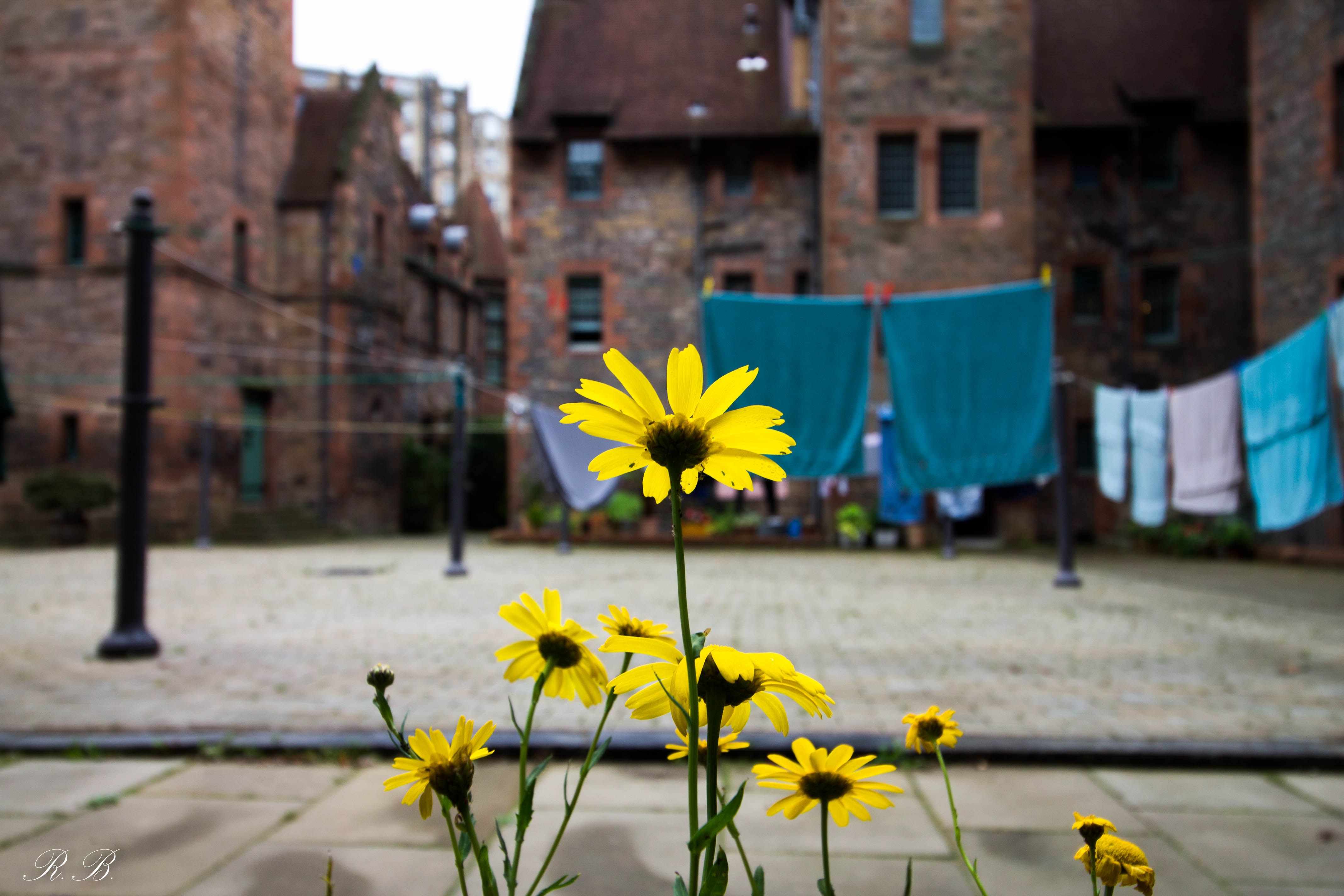 Dean_Village_BeatriceRoat