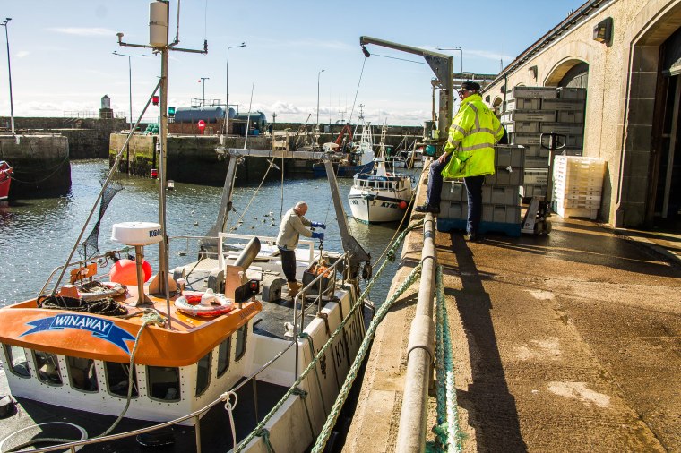 Pittenweem-Fife-Scozia-nelcuoredellascozia-BeatriceRoat