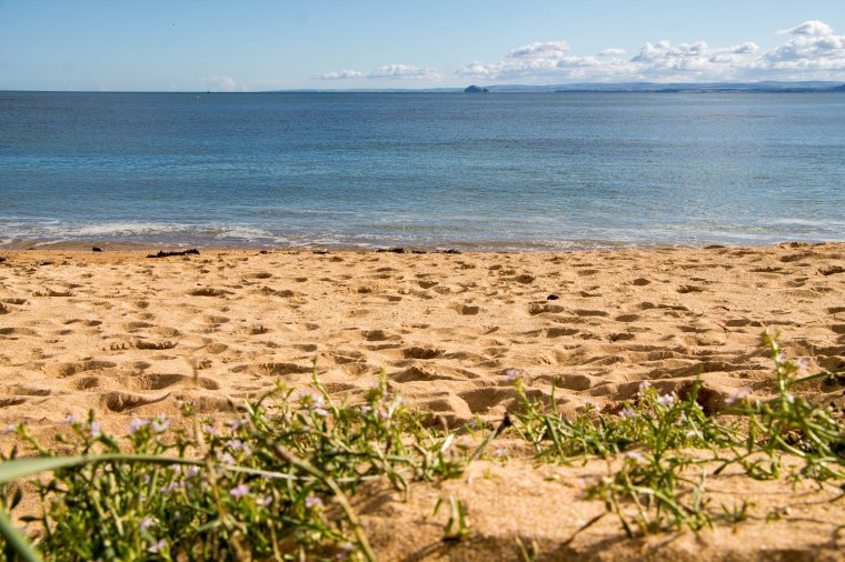 FifeCoastalPath-Elie-Fife-Scozia-Nelcuoredellascozia-BeatriceRoat