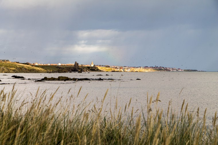 FifeCoastalPath-Fife-Scozia-Nelcuoredellascozia-BeatriceRoat