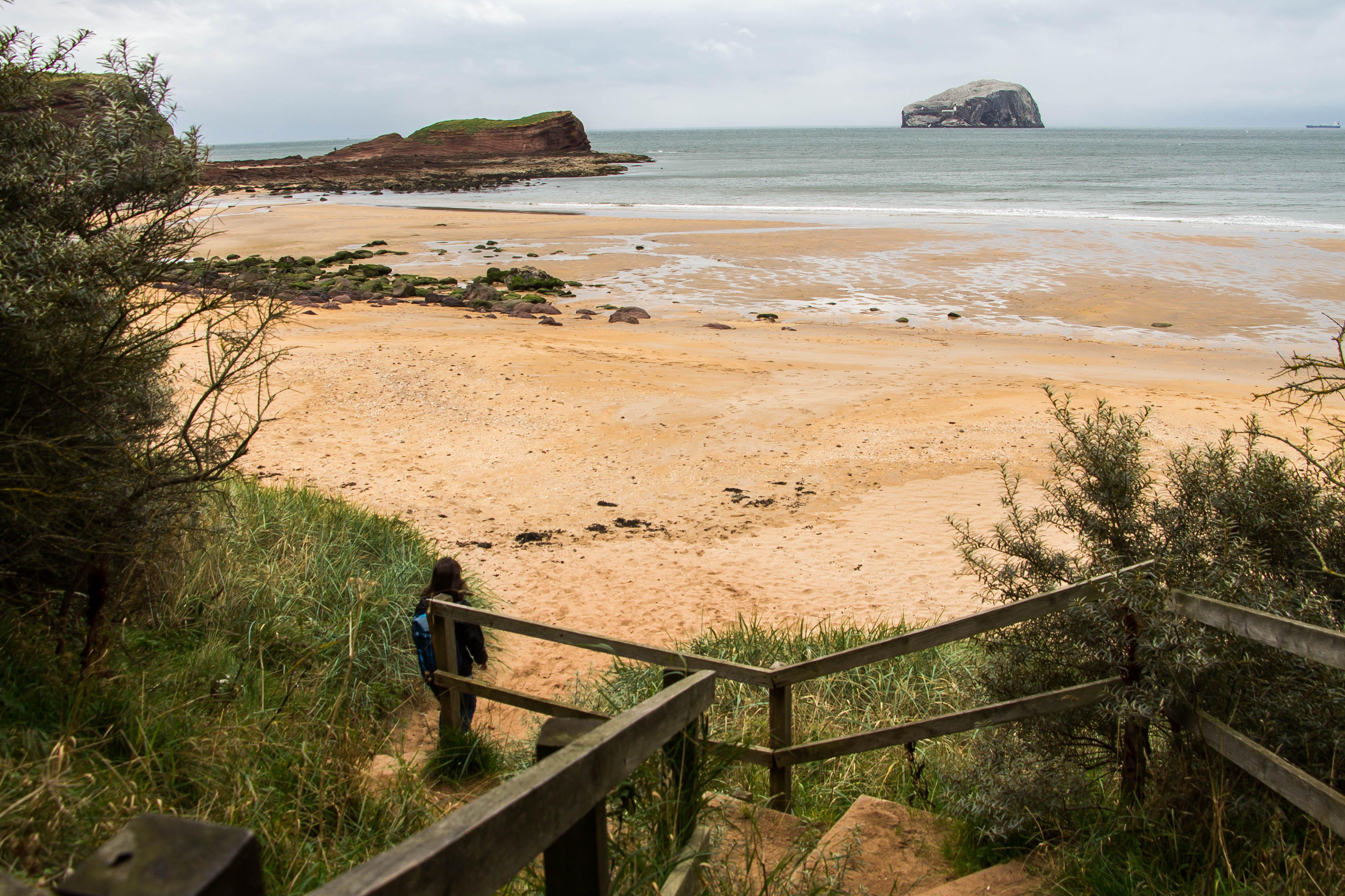 Seacliff-Beach-BeatriceRoat