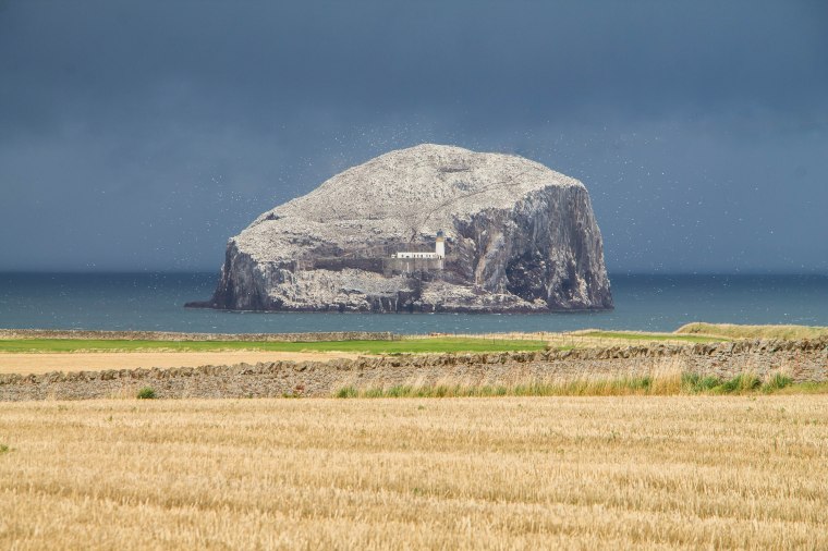 BassRock-Scozia-Nelcuoredellascozia-BeatriceRoat