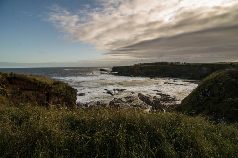 Tantallon-Castle-BeatriceRoat