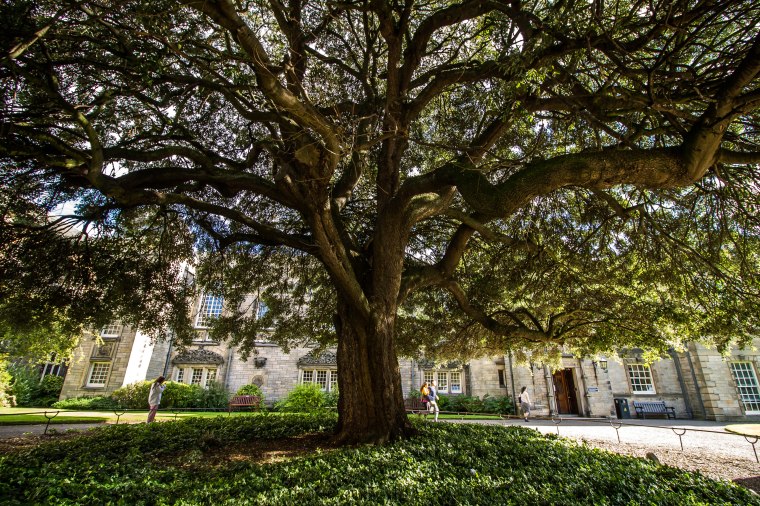 Saint-Andrews-Scotland-Beatriceroat