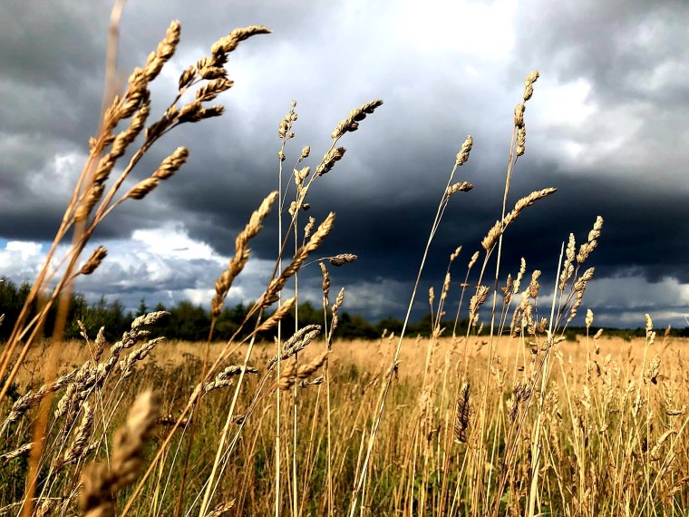 Pic by Arianna Thomakakis