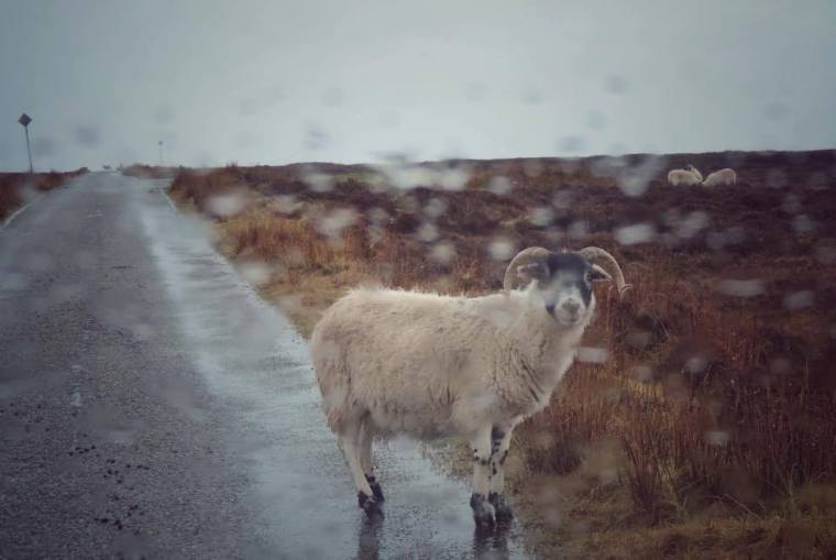 Pic by Adriana Branchini