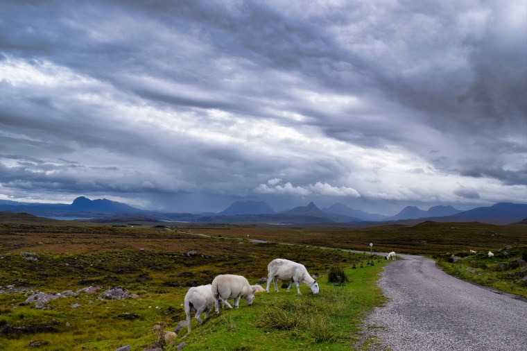 Pic by Barbara Scavino