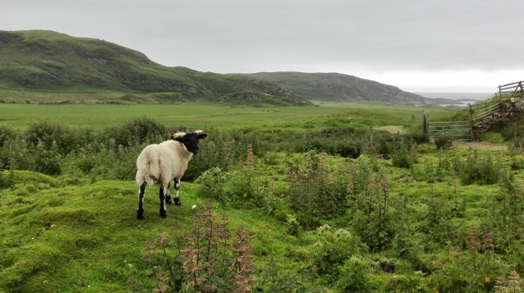 Pic by Germana Armellino