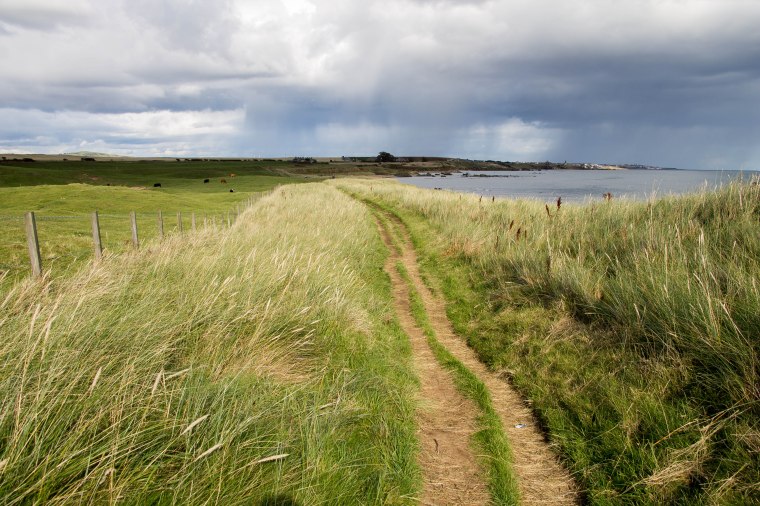 Fife-Coastal-Path-BeatriceRoat
