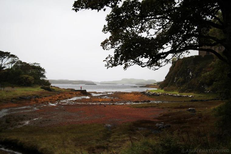 Pic by Ilaria Fenato 