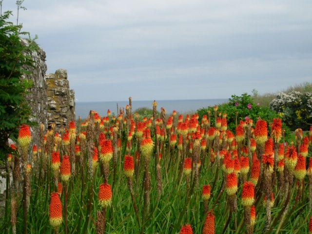 Pic by Irene Cordisco