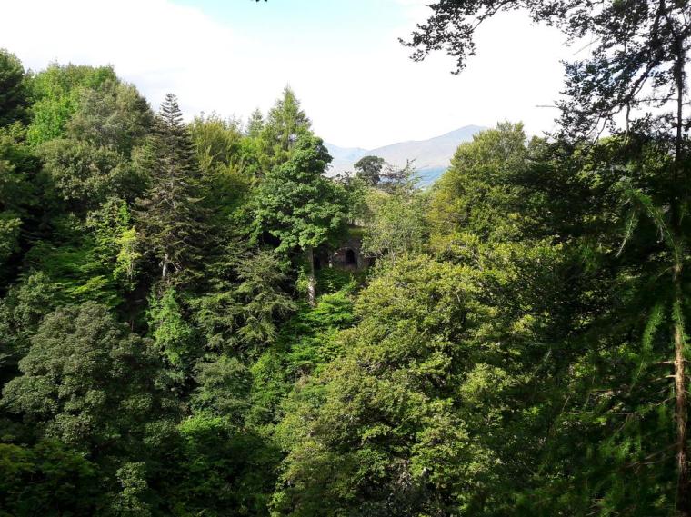 Pic by Manuela Cavalli