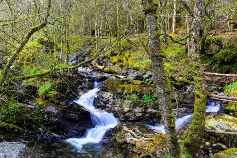 Pic by Barbara Scavino