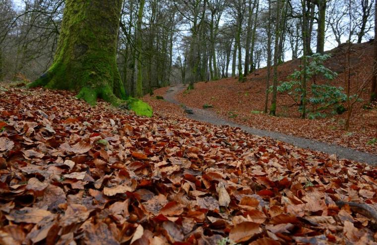 Pic by Ilaria Battaini