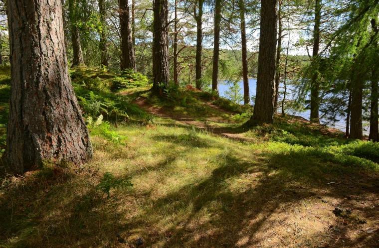 pic by Ilaria Battaini