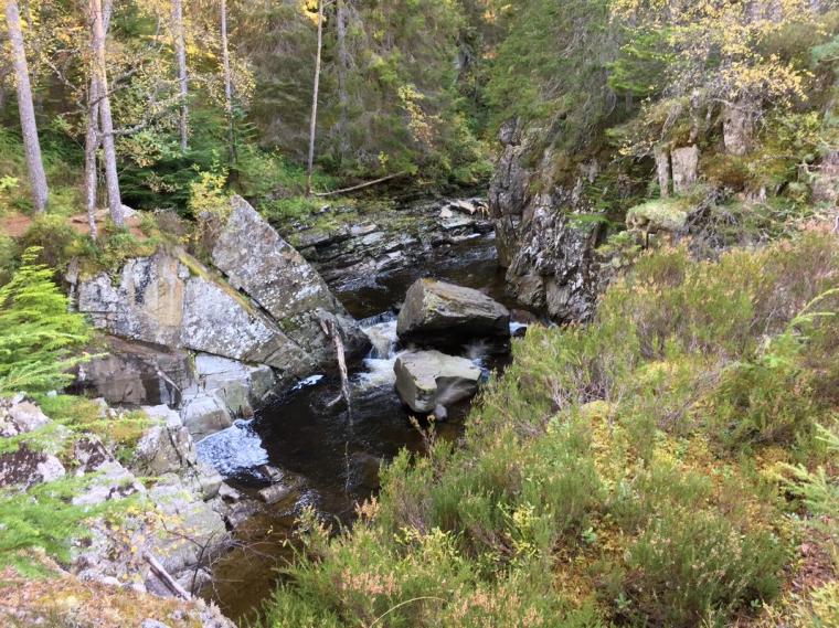 Pic by Patrizia Frascarelli