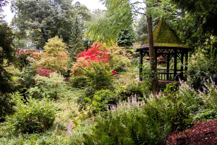 Dunfermline_Scozia_BeatriceRoat