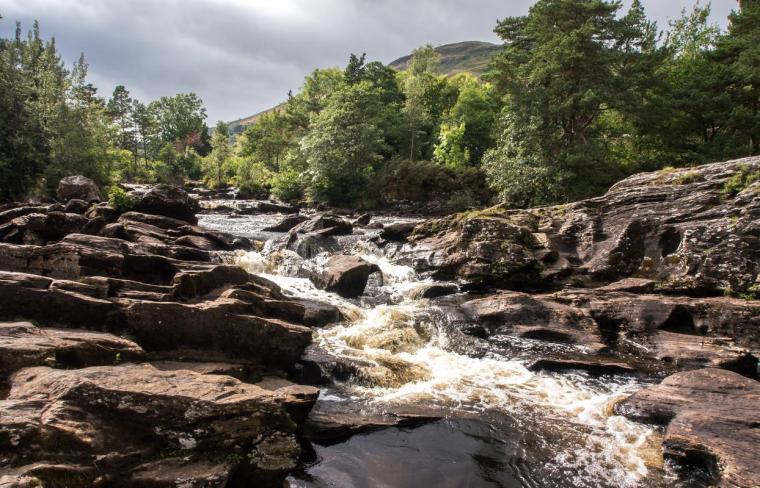 Pic by Cinzia Magagnato