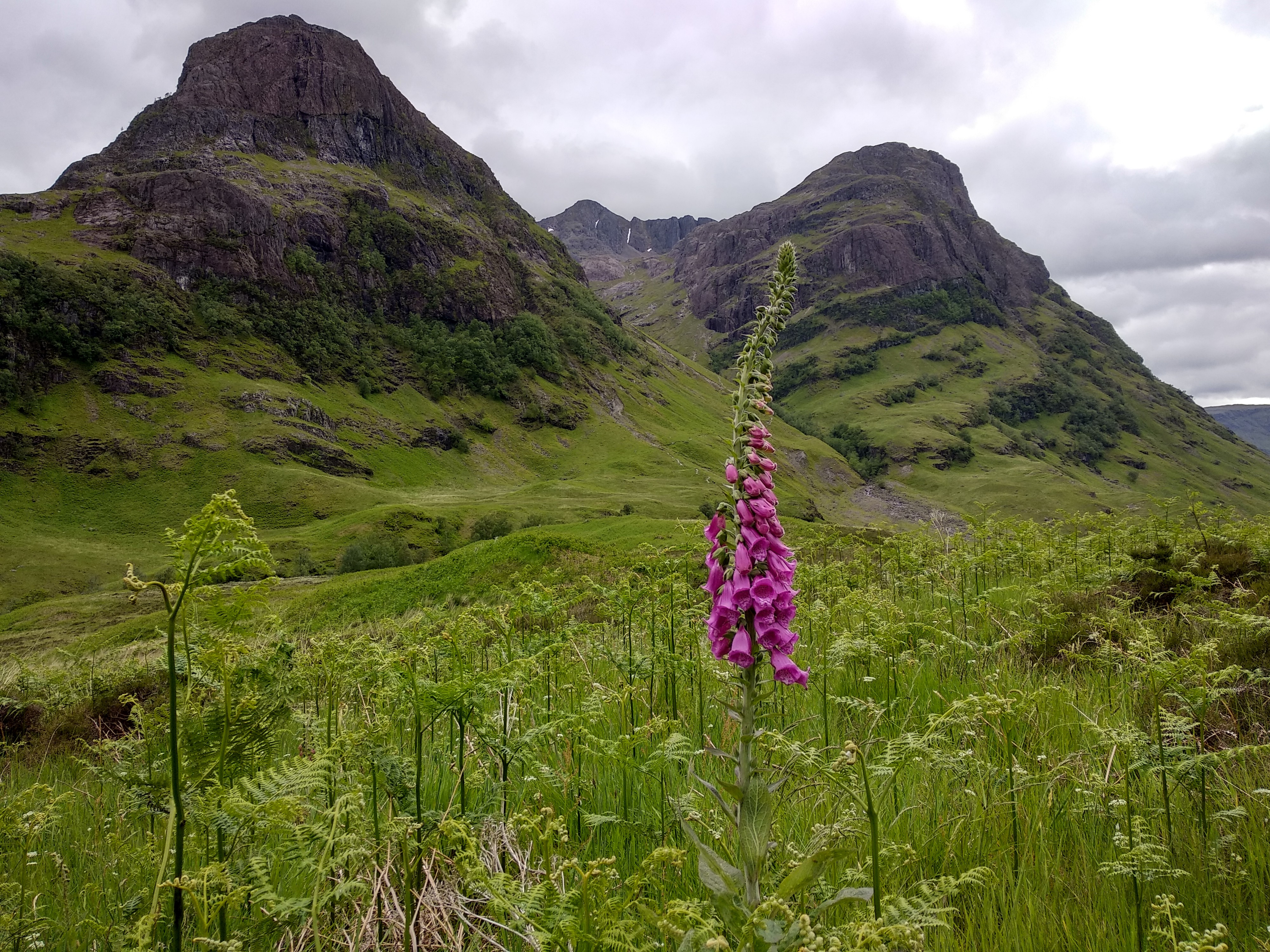 Glencoe-scozia-BeatriceRoat