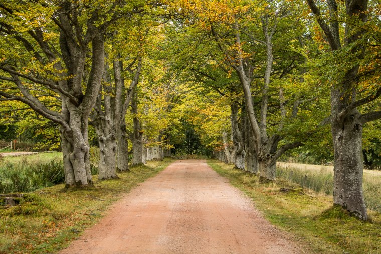 CraigievarCastle-Scozia-nelcuoredellascozia-BeatriceRoat