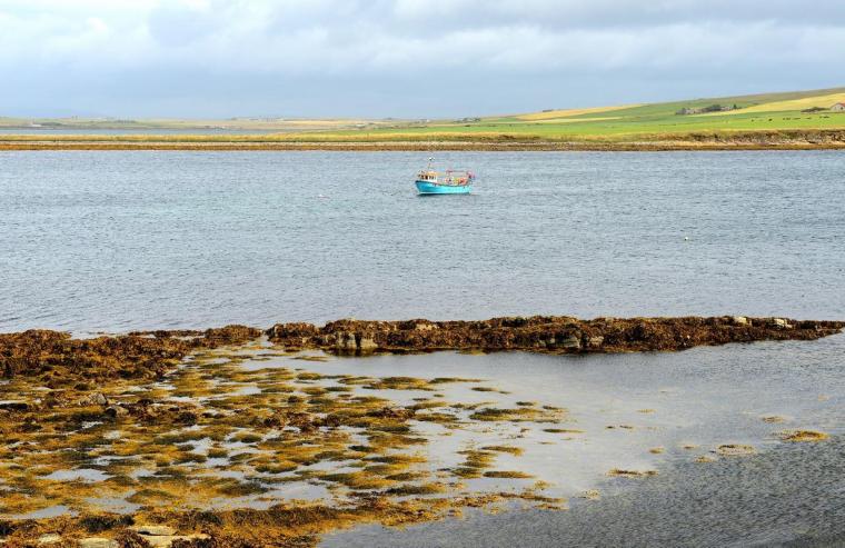 pic by Ilaria Battaini