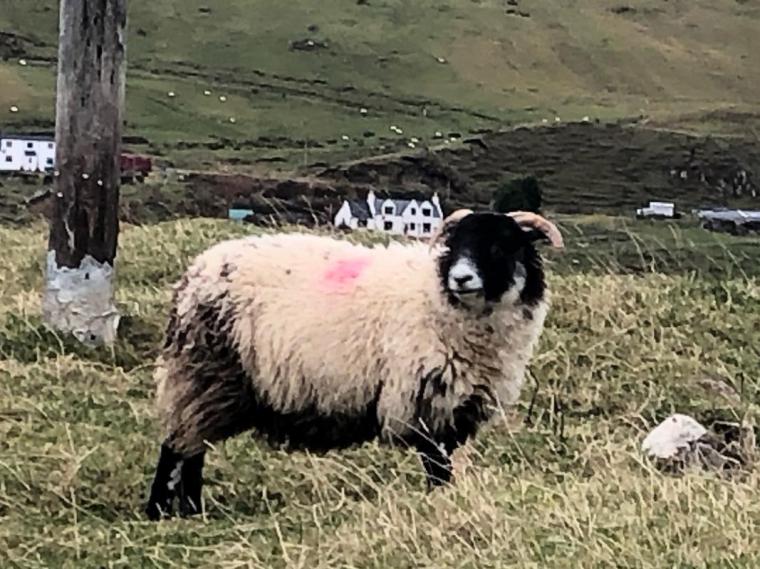 PIC BY CRISTINA MONTOPOLI