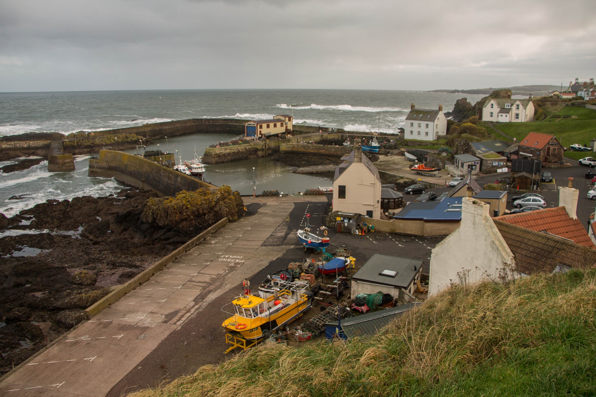 St.Abbs-Scotland-BeatriceRoat