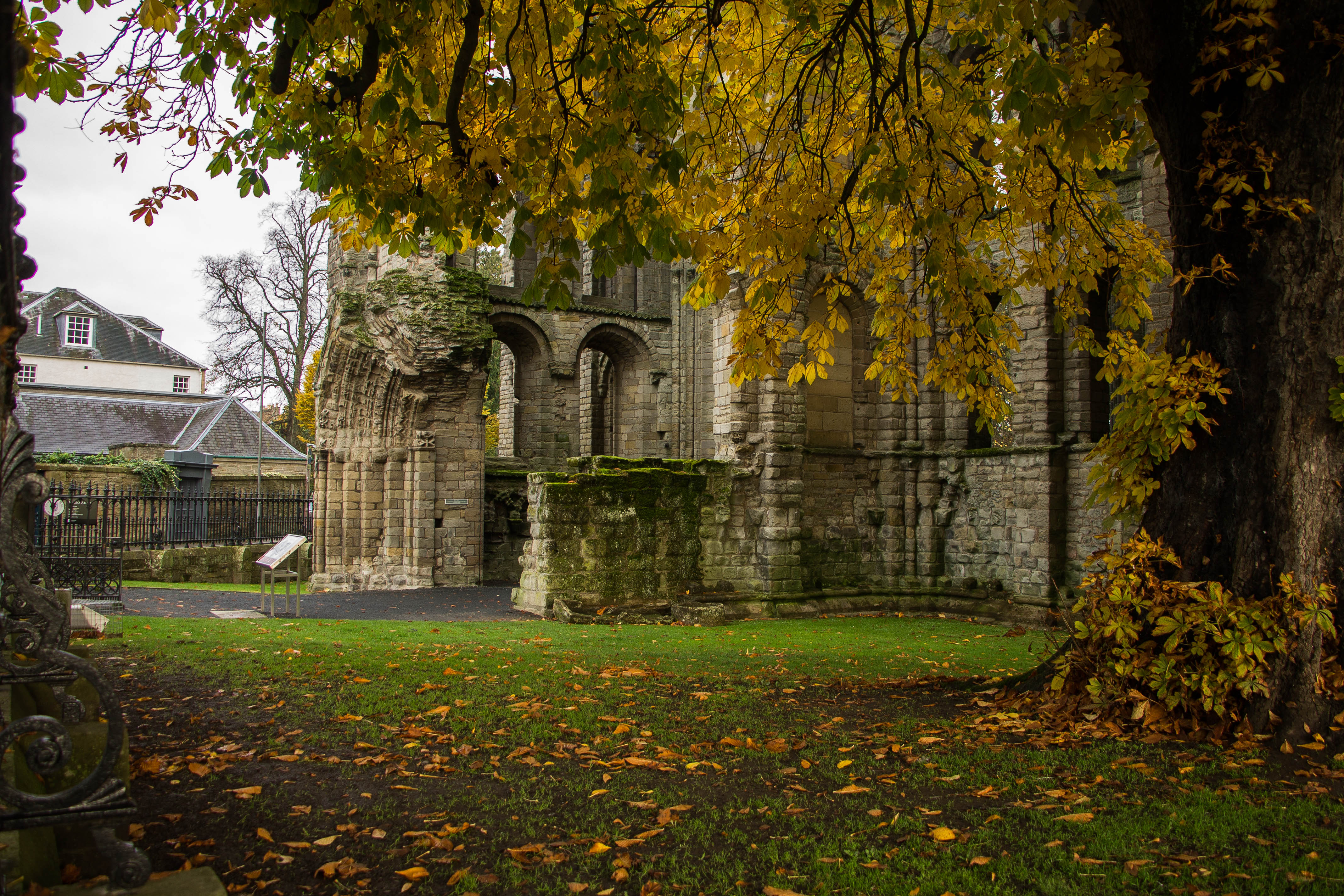 KelsoAbbey-Scozia-Nelcuoredellascozia-BeatriceRoat