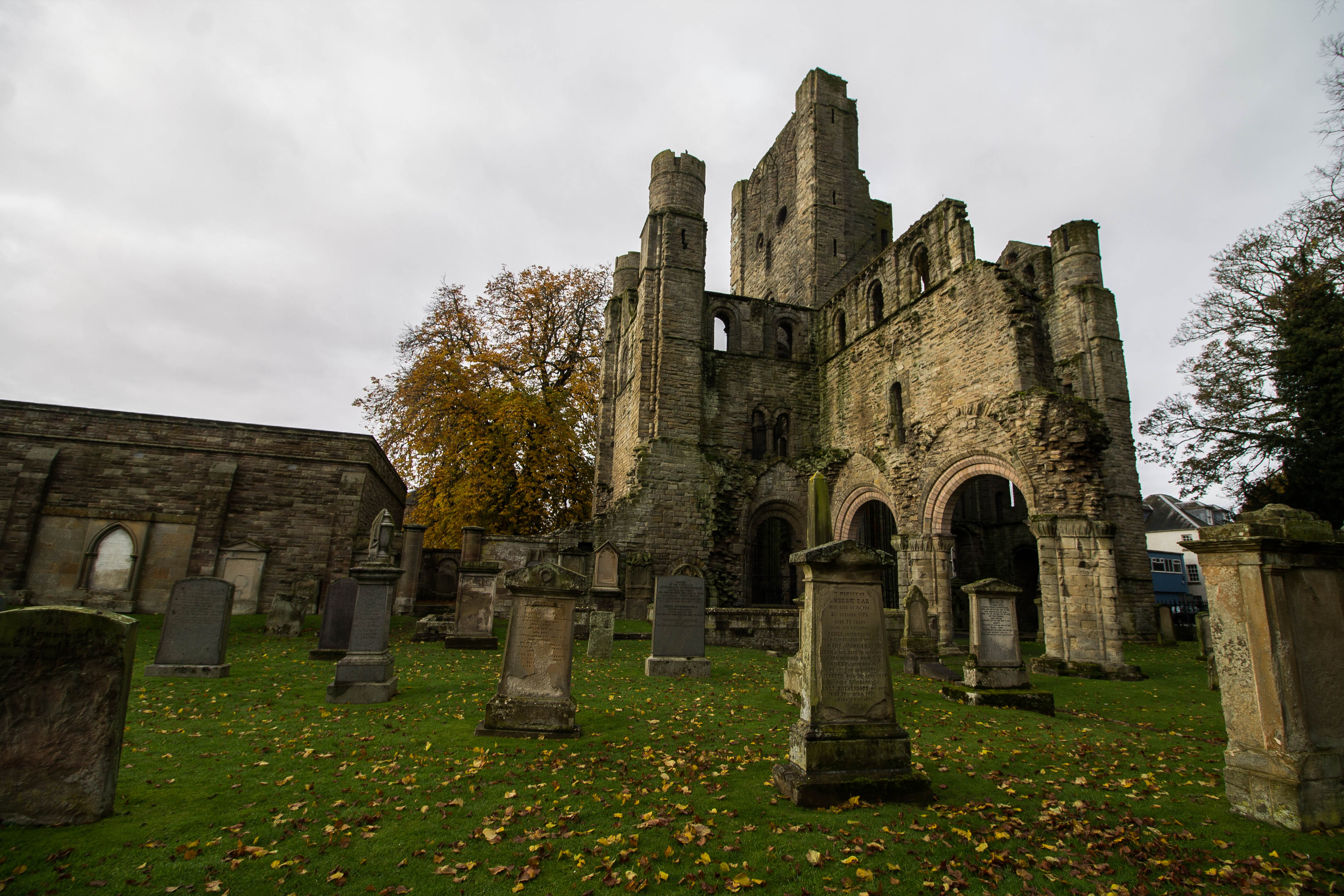 Kelso-Abbey-Scotland-BeatriceRoat