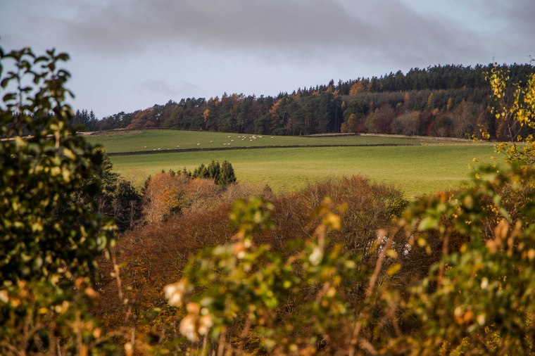 Abbotsford-House-BeatriceRoat