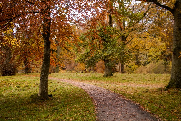 AbbotsfordHouse-Scozia-Nelcuoredellascozia-BeatriceRoat