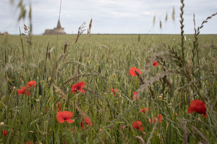 Foto di Gloria Lutteri